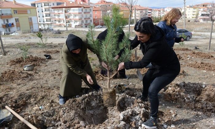 KADINLAR 400 FİDANI TOPRAKLA BULUŞTURDU
