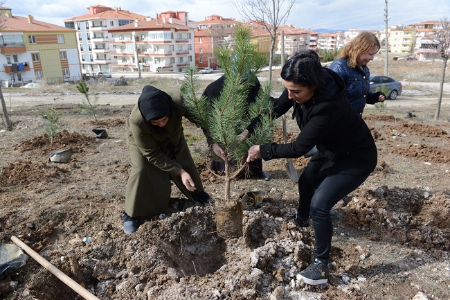 KADINLAR 400 FİDANI TOPRAKLA BULUŞTURDU