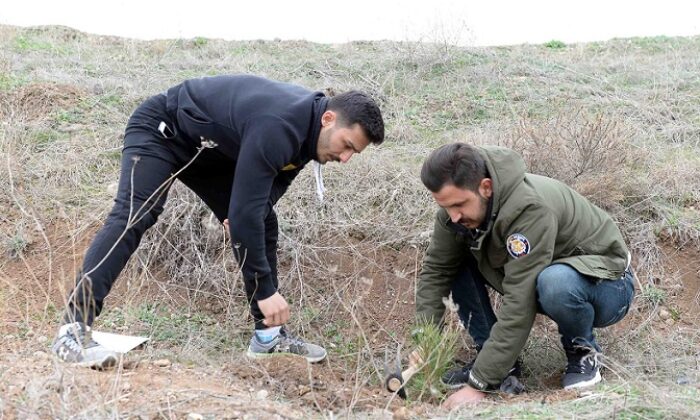 HİTİT ÖĞRENCİLERİ FİDAN DİKTİ