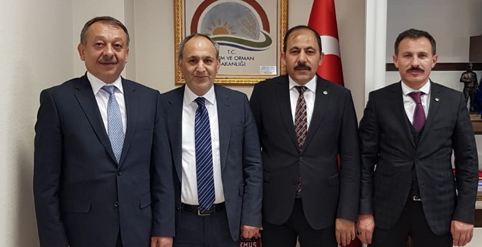 ÇORUM’UN HAYVANCILIK PROJELERİ TAKİPTE