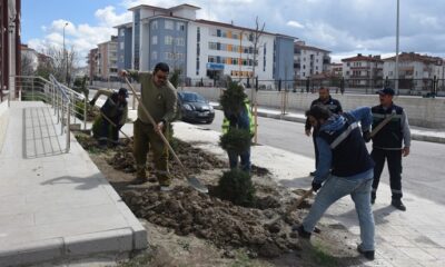 YEŞİL BİR ÇORUM İÇİN ÇALIŞMALAR BAŞLADI
