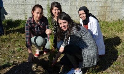 HASTANE BAHÇESİNE FİDAN DİKTİLER