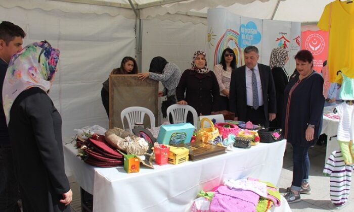 EL EMEĞİ GÖZ NURU ESERLER BEĞENİLDİ