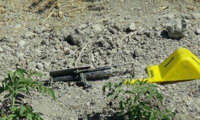 KÖYLÜYÜ KÖSTEBEK TABANCASI YARALADI