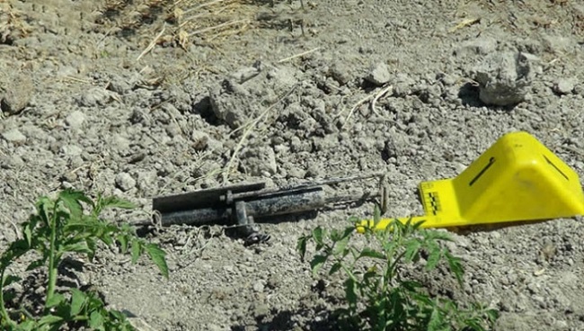 KÖYLÜYÜ KÖSTEBEK TABANCASI YARALADI