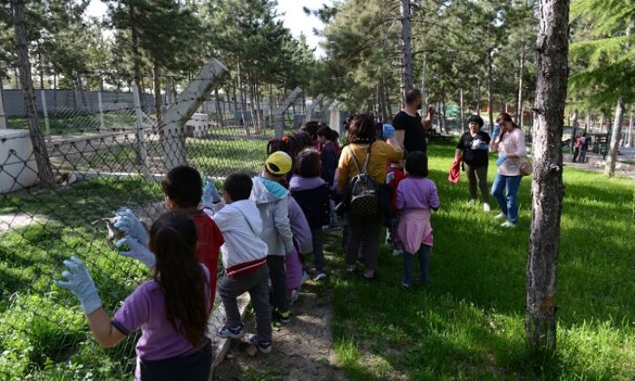 HAYVANLAR ÇOCUKLARIN İLGİ ODAĞI OLDU