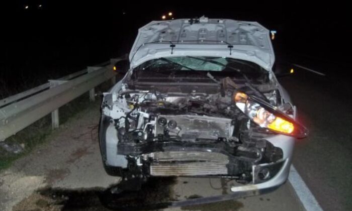 OTOMOBİL DOMUZ SÜRÜSÜNE ÇARPTI