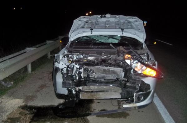 OTOMOBİL DOMUZ SÜRÜSÜNE ÇARPTI