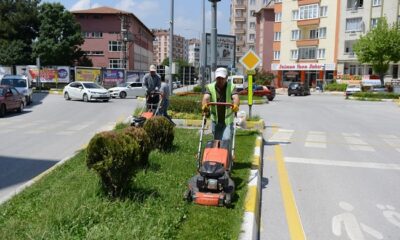PARK VE BAHÇELERDE HUMMALI ÇALIŞMA