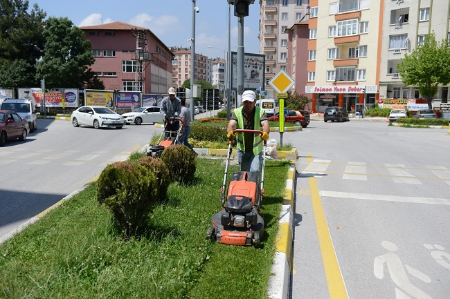 PARK VE BAHÇELERDE HUMMALI ÇALIŞMA