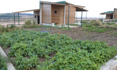 KAÇAK HOBİ BAHÇELERİ TESPİT EDİLDİ