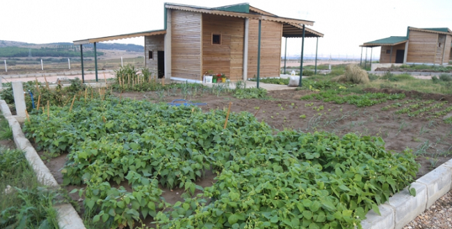 KAÇAK HOBİ BAHÇELERİ TESPİT EDİLDİ