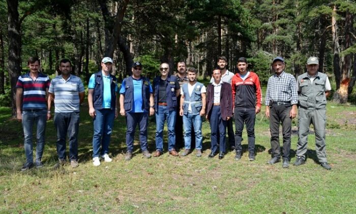 KARGI ORMANLARINDA İNCELEME YAPTILAR