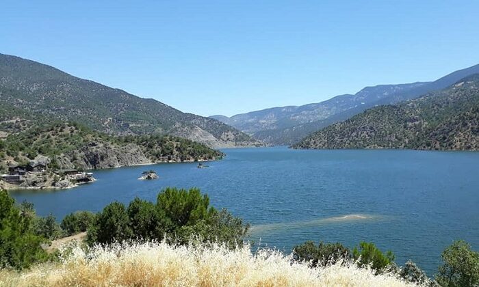 FOTOĞRAFLAR AÇIK ARTIRMA İLE SATILACAK