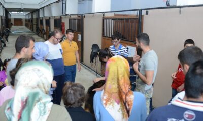 ÖĞRENCİLER BİNİCİLİK TESİSİNİ GEZDİ