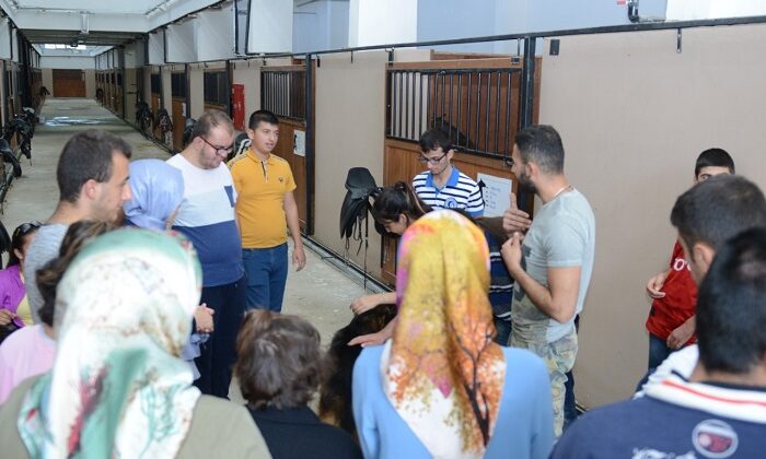 ÖĞRENCİLER BİNİCİLİK TESİSİNİ GEZDİ