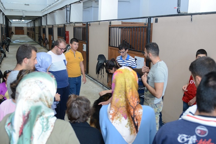 ÖĞRENCİLER BİNİCİLİK TESİSİNİ GEZDİ