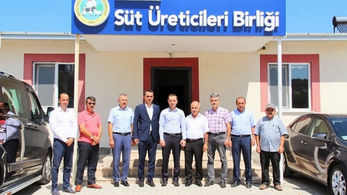 MECİTÖZÜ’NE PEYNİR FABRİKASI PLANI