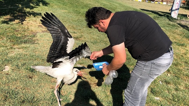 EVCİLLEŞTİRDİĞİ LEYLEK GÖÇ ETMEDİ