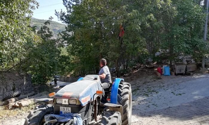 BELEDİYE’DE HUMMALI CEVİZ MESAİSİ