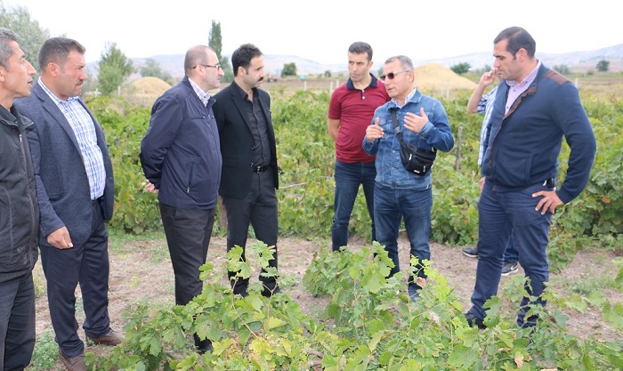 HÖKE BAĞLARI TEKRAR CANLANDIRILACAK