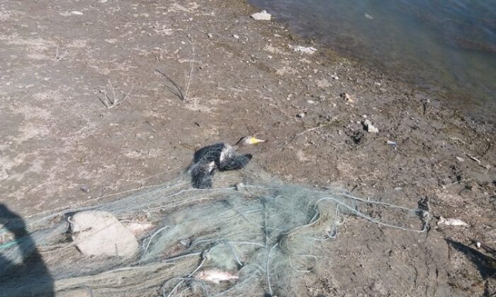 KAÇAK BALIKÇILAR SUÇÜSTÜ YAKALANDI