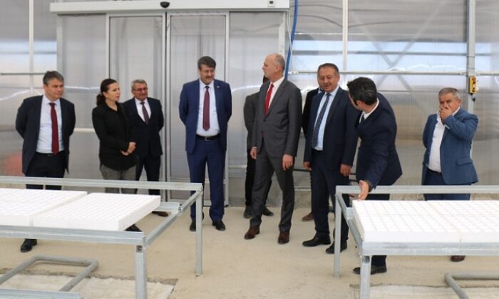 TIBBİ AROMATİK BİTKİ MERKEZİ OLACAK