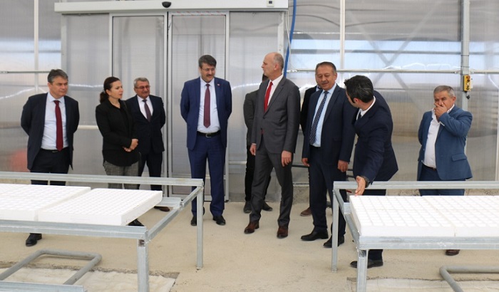TIBBİ AROMATİK BİTKİ MERKEZİ OLACAK