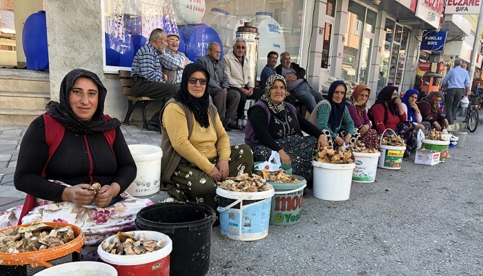 KARGI’DA MANTAR SEZONU BAŞLADI