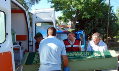 KESTİĞİ AĞACIN ALTINDA CAN VERDİ