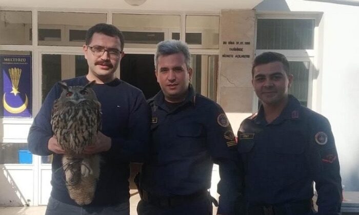 YARALI BAYKUŞU JANDARMA KURTARDI