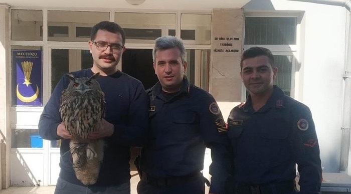 YARALI BAYKUŞU JANDARMA KURTARDI