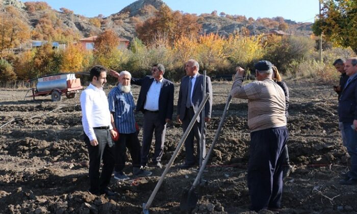 HÖKE BAĞLARI YENİDEN CANLANDIRILACAK