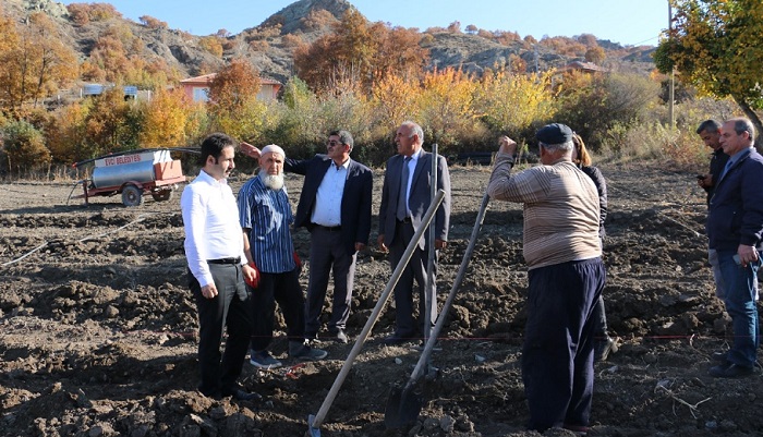 HÖKE BAĞLARI YENİDEN CANLANDIRILACAK