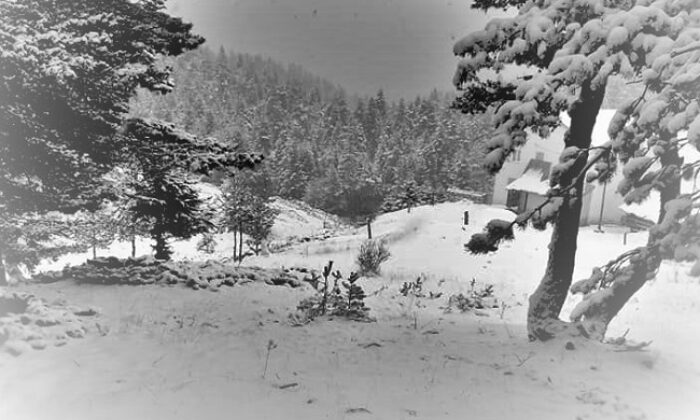 YAYLALAR BEYAZA BÜRÜNDÜ