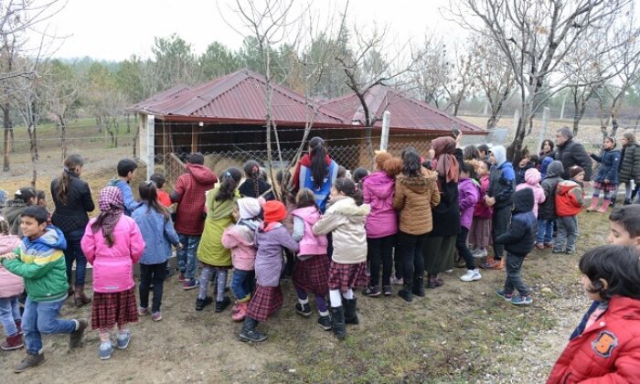 MÜLTECİ ÇOCUKLARLA HAYVANLARI SEVDİLER