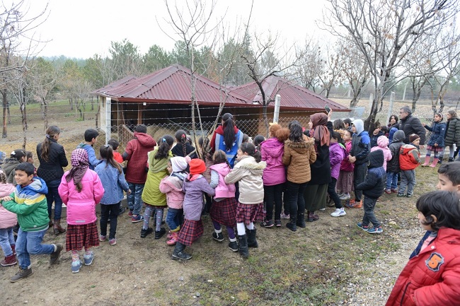 MÜLTECİ ÇOCUKLARLA HAYVANLARI SEVDİLER