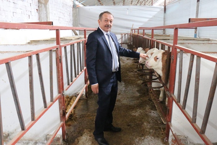 DÜVE ALIM DESTEKLEME BAŞVURULARI BAŞLADI