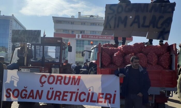 SOĞAN ÜRETİCİLERİ ZOR DURUMDA