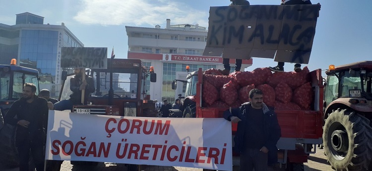 SOĞAN ÜRETİCİLERİ ZOR DURUMDA