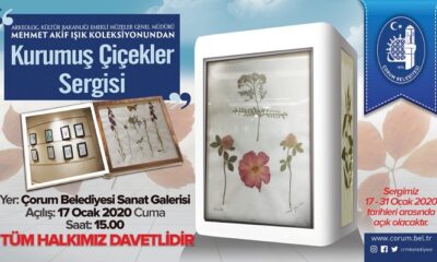 KURUMUŞ ÇİÇEKLER SERGİSİ AÇILACAK
