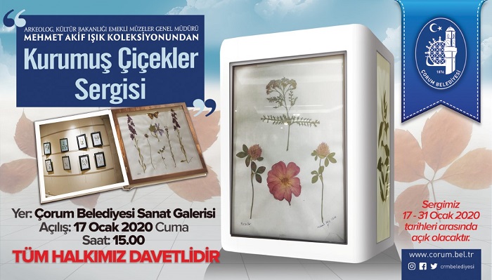 KURUMUŞ ÇİÇEKLER SERGİSİ AÇILACAK