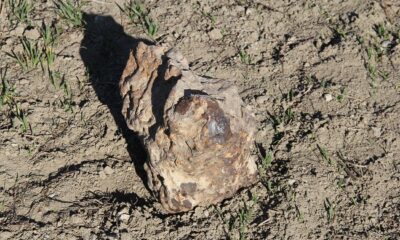 GÖKTAŞI ÇORUM MÜZESİNDE SERGİLENİYOR