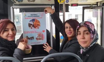 SOKAK HAYVANLARI AÇ KALMASIN