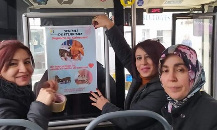 SOKAK HAYVANLARI AÇ KALMASIN