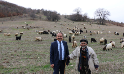 KUZU ÖLÜMLERİNE DİKKAT ÇEKTİ!