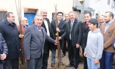 FİDAN ALACAKLARA ÖNEMLİ UYARI!