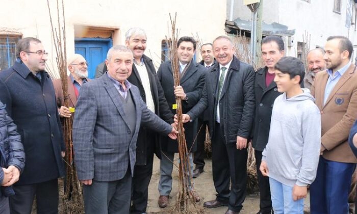 FİDAN ALACAKLARA ÖNEMLİ UYARI!