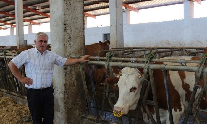 TKDK DESTEĞİ İLE SÜT ÜRETİM ÇİFTLİĞİ KURDU