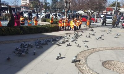 ANAOKULU MİNİKLERİ HAYVANLARI BESLEDİ